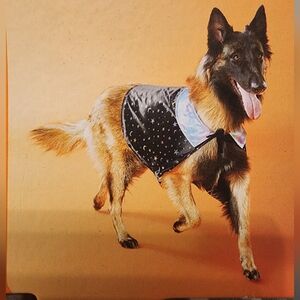 Boots & Barkley Starry Wizard Dog Cape